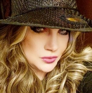 Some Of My Favorite Wigs Thru The Years Of My Journey